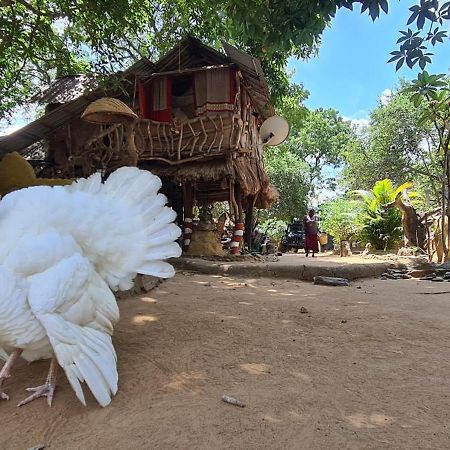 Humbhaha Jungle Yala Nature Eco Resort Kataragama Dış mekan fotoğraf