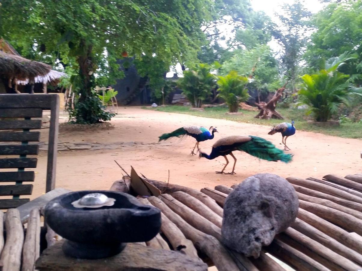 Humbhaha Jungle Yala Nature Eco Resort Kataragama Dış mekan fotoğraf