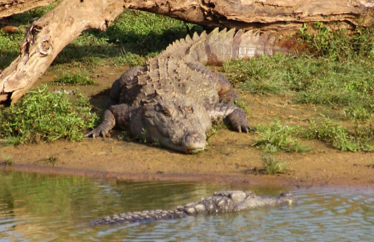 Humbhaha Jungle Yala Nature Eco Resort Kataragama Dış mekan fotoğraf