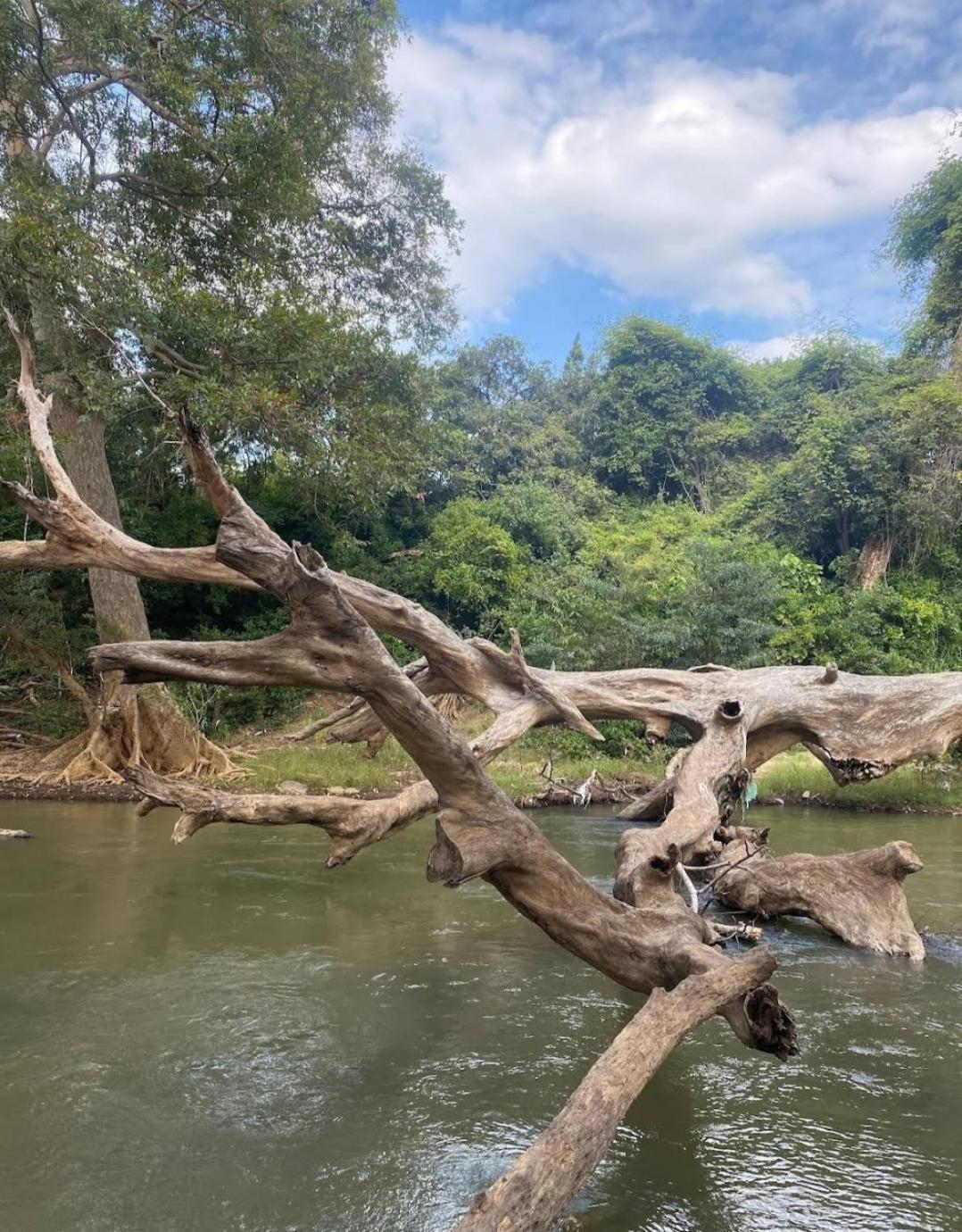 Humbhaha Jungle Yala Nature Eco Resort Kataragama Dış mekan fotoğraf