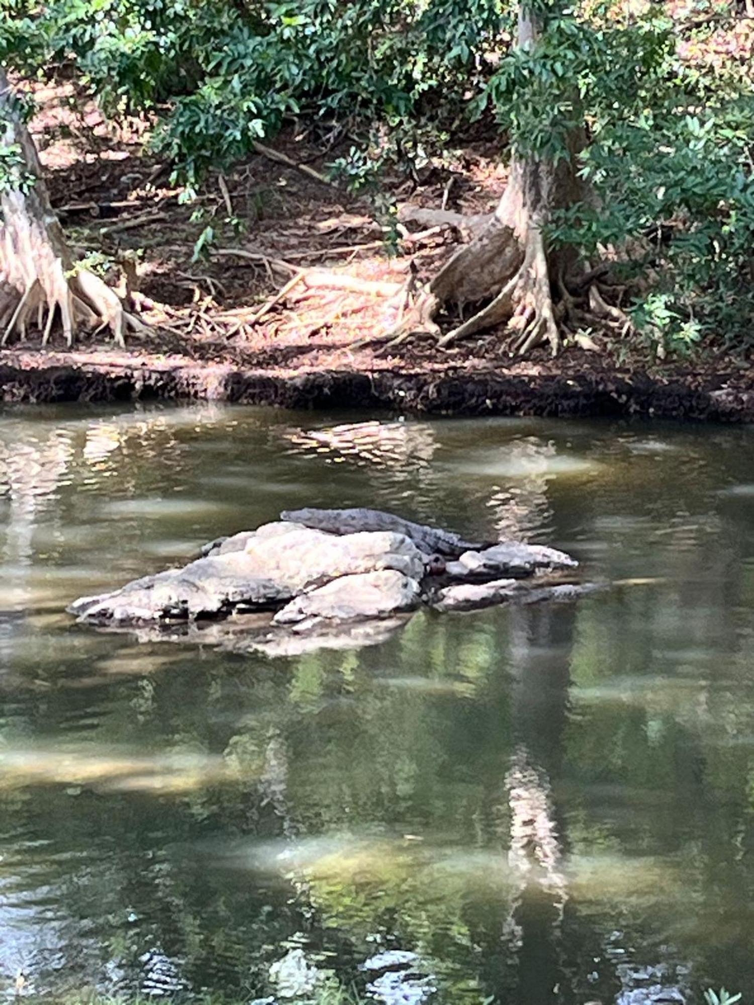 Humbhaha Jungle Yala Nature Eco Resort Kataragama Dış mekan fotoğraf