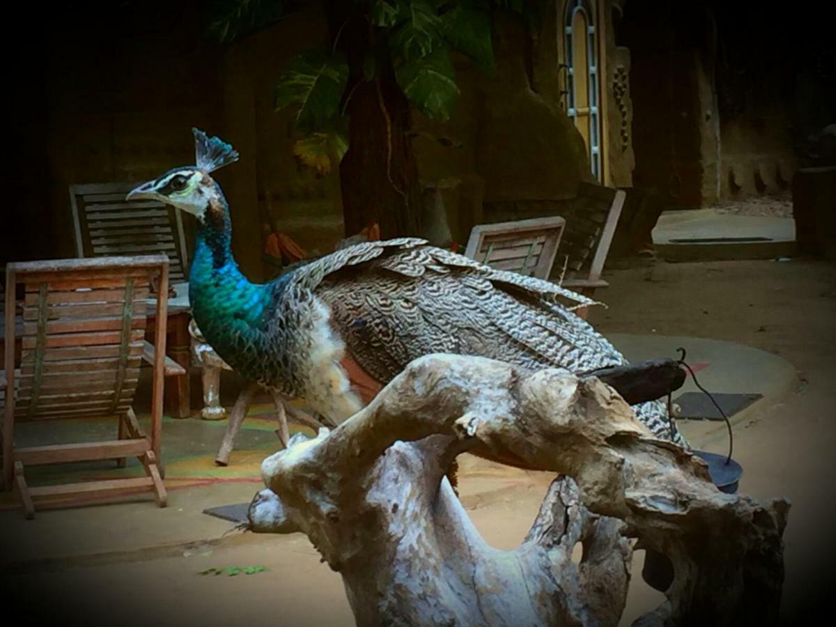 Humbhaha Jungle Yala Nature Eco Resort Kataragama Dış mekan fotoğraf